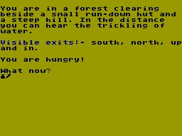 Running screen