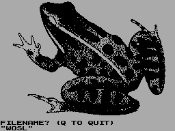 Running screen