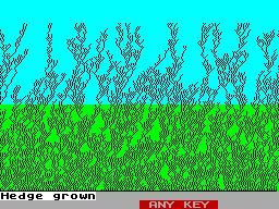 Running screen