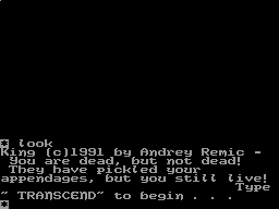 Running screen