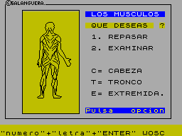 Running screen