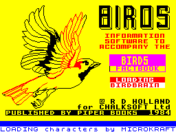 Loading screen