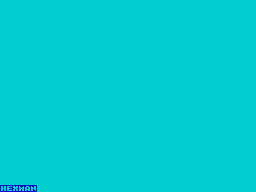 Loading screen