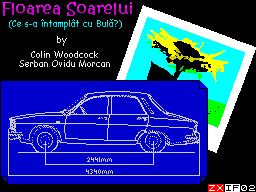 Loading screen