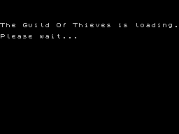 Loading screen