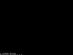 Loading screen