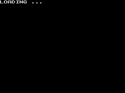 Loading screen