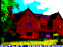 Loading screen