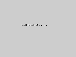 Loading screen