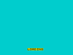 Loading screen