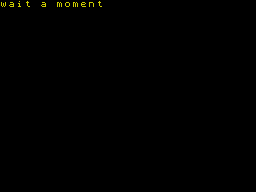 Loading screen