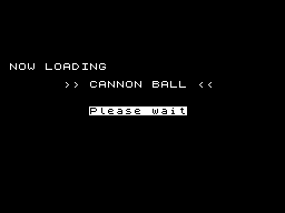 Loading screen