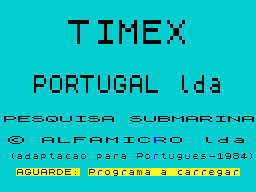 Loading screen