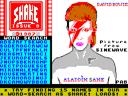 Loading screen