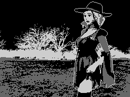 Loading screen