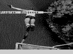 Loading screen