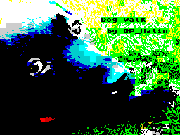 Loading screen