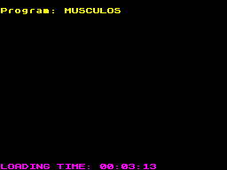Loading screen