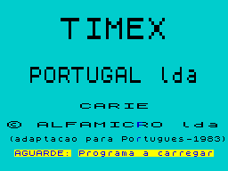 Loading screen