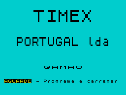 Loading screen