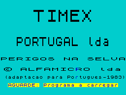 Loading screen