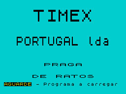 Loading screen