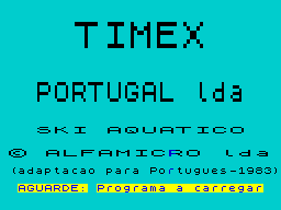 Loading screen