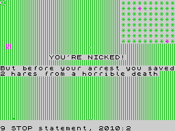 Running screen