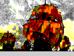 Loading screen