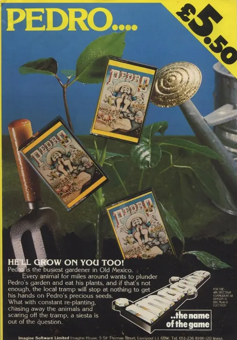 Advertisement