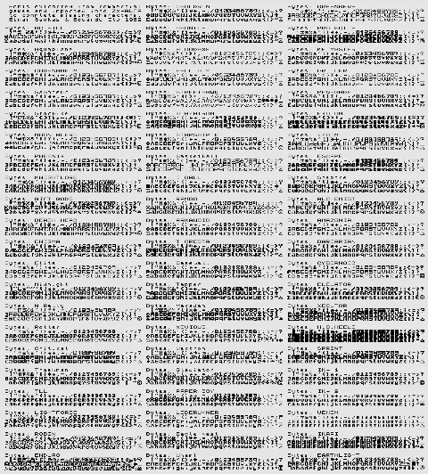 Fonts