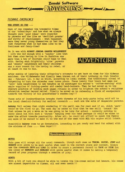 Scanned instructions