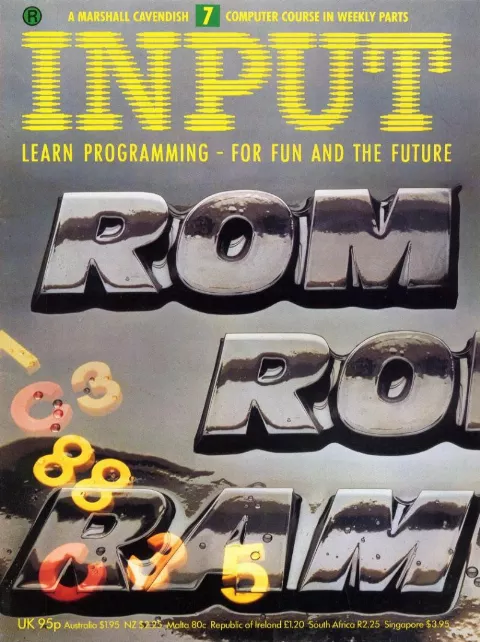 Cover of Input