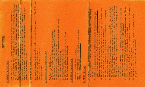 Inlay - Back