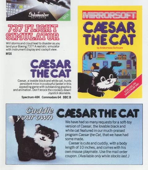 Advertisement