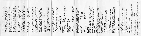 Inlay - Back