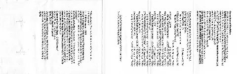 Inlay - Back