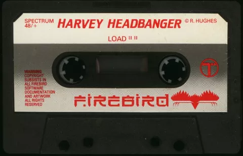 Media scan