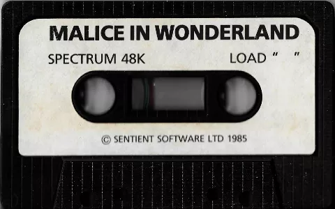 Media scan