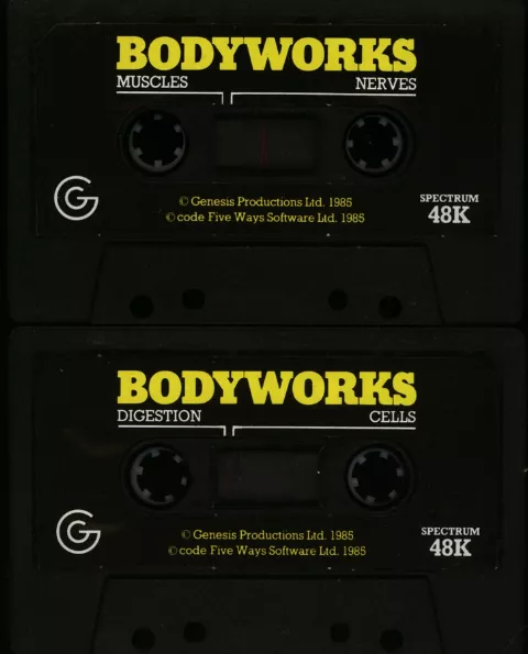 Media scan