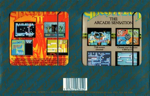 Inlay - Back