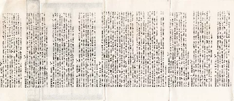 Inlay - Back